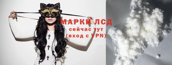 стаф Баксан