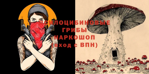 стафф Балахна